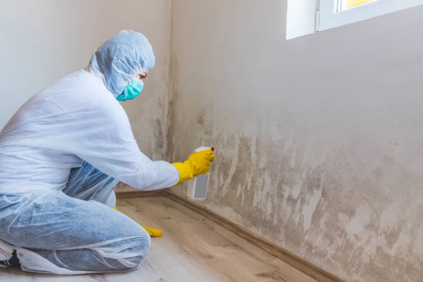 Licensed Mold Remediation service in Thompsonville, PA - WQB Mold Removal
