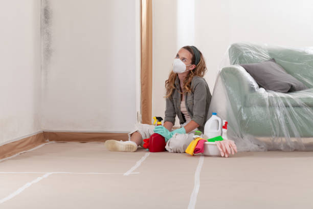 Reliable Mold Remediation contractor in Thompsonville, PA by WQB Mold Removal